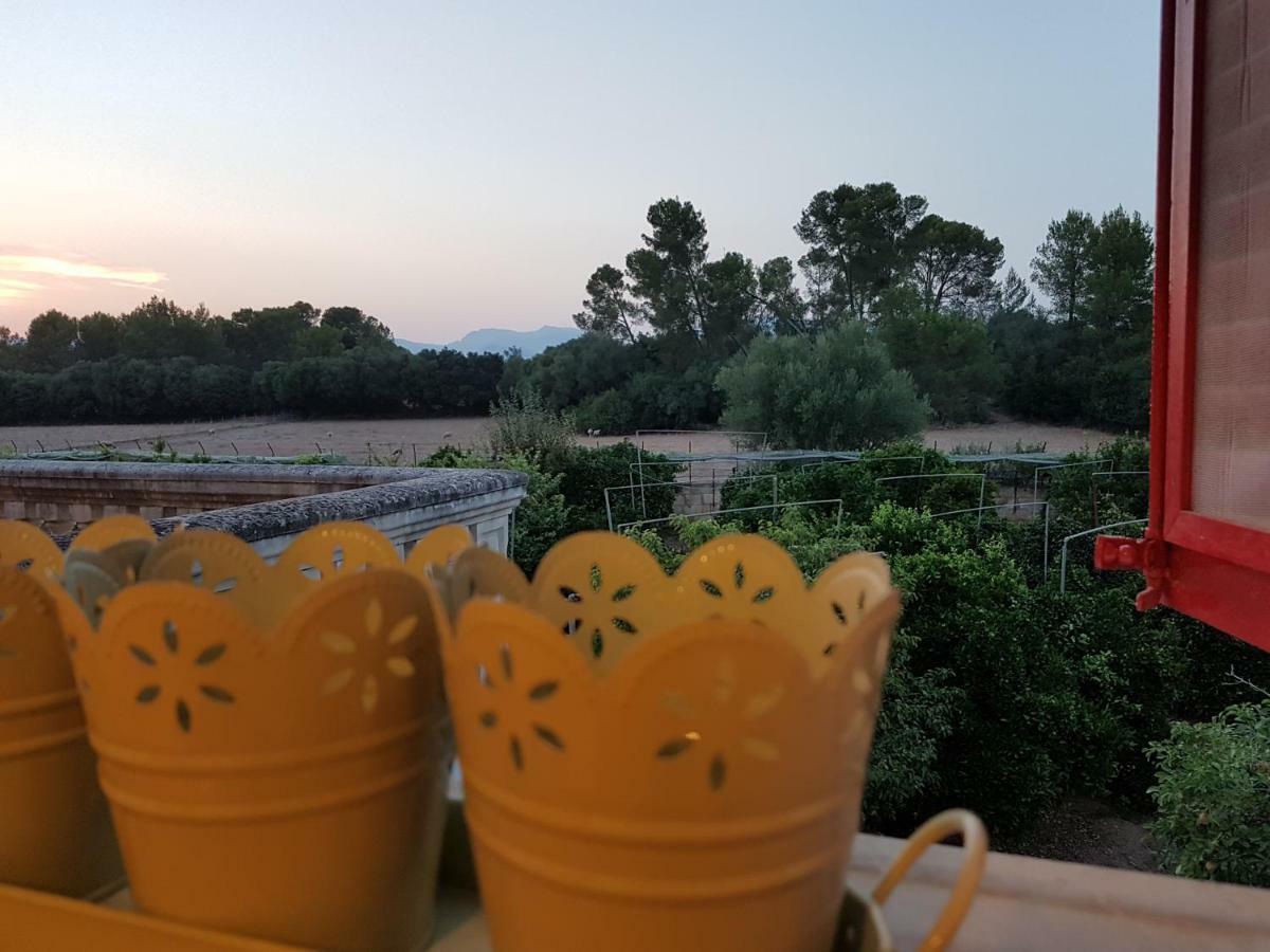 Finca Sa Cova De Mallorca 森瑟勒斯 外观 照片