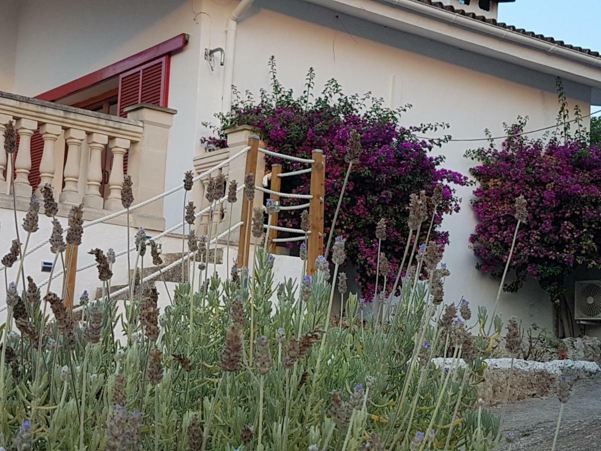 Finca Sa Cova De Mallorca 森瑟勒斯 外观 照片