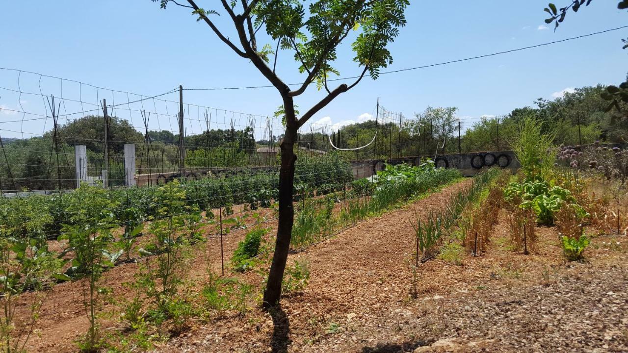 Finca Sa Cova De Mallorca 森瑟勒斯 外观 照片