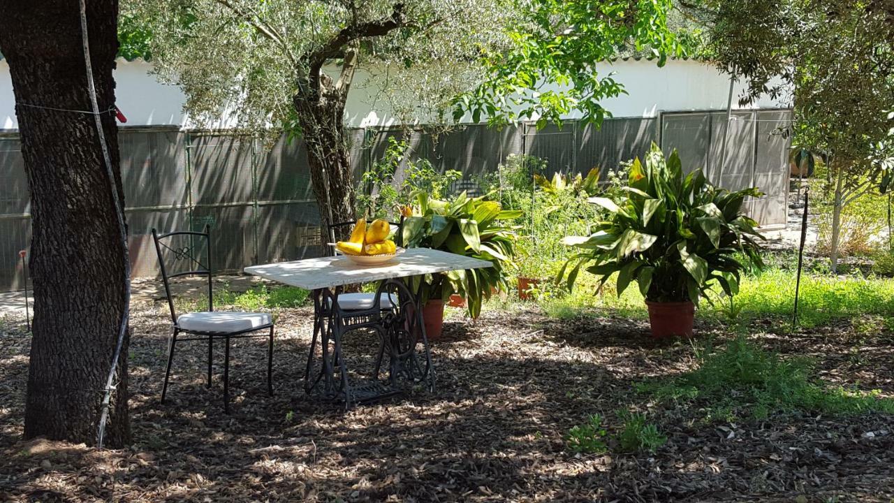 Finca Sa Cova De Mallorca 森瑟勒斯 外观 照片