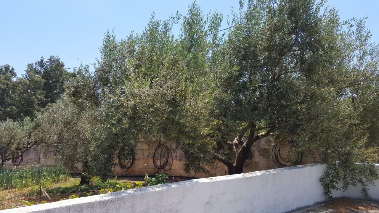 Finca Sa Cova De Mallorca 森瑟勒斯 外观 照片