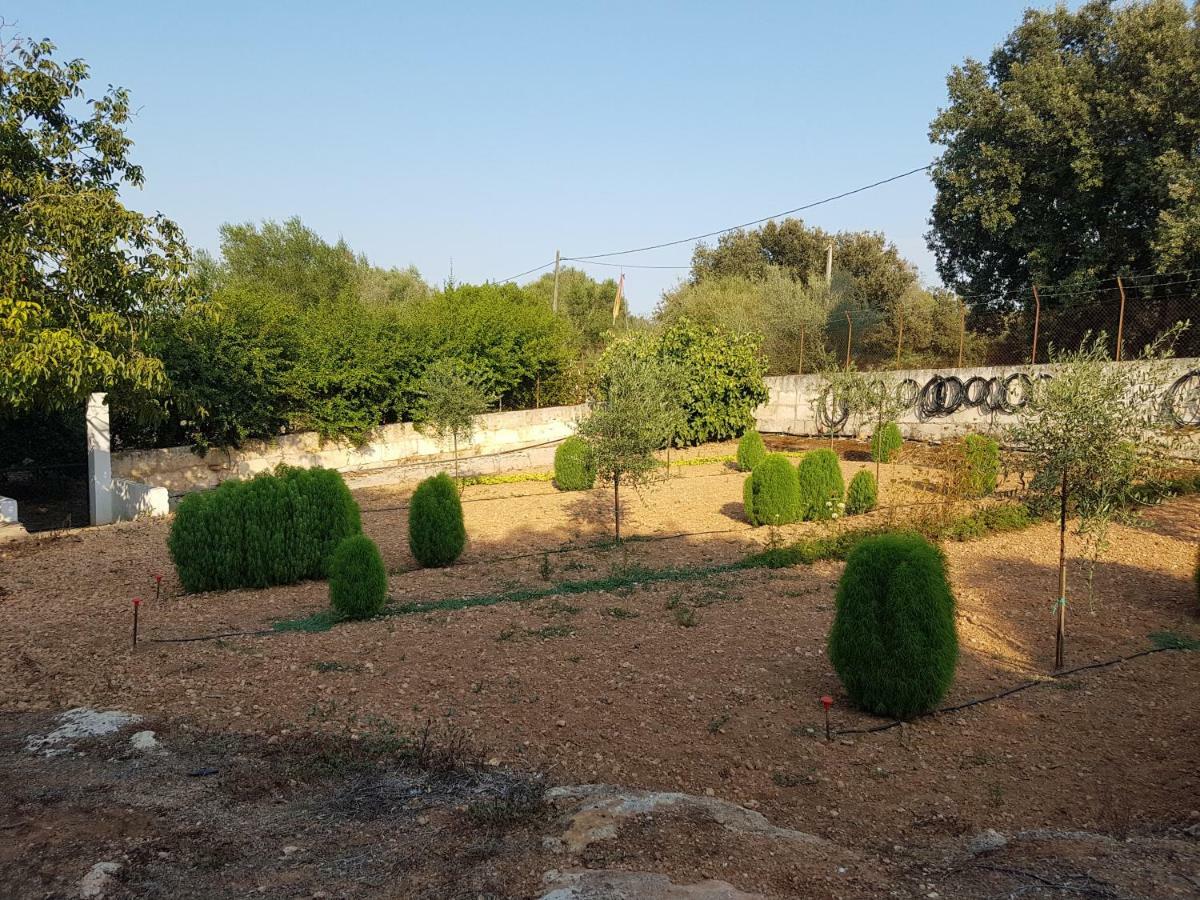 Finca Sa Cova De Mallorca 森瑟勒斯 外观 照片