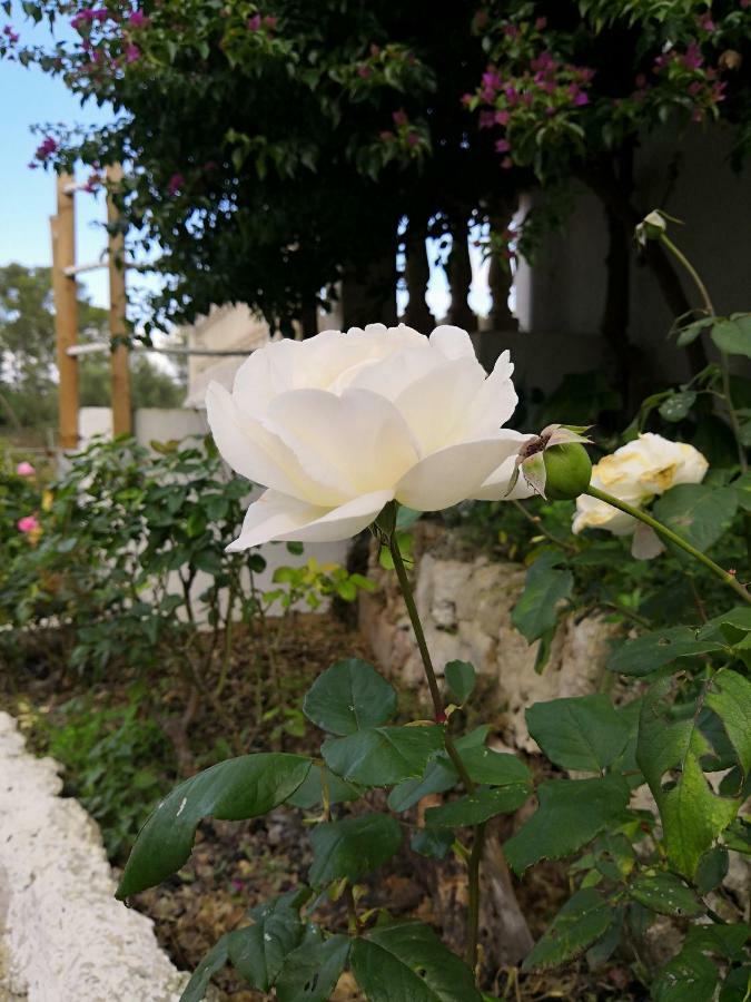 Finca Sa Cova De Mallorca 森瑟勒斯 外观 照片